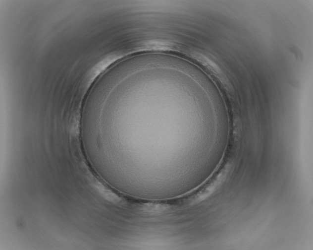 X0000111021081200907022153