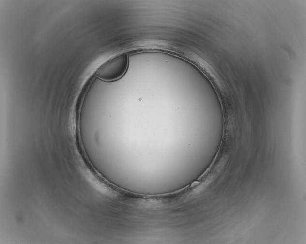 X0000111021082200907022153