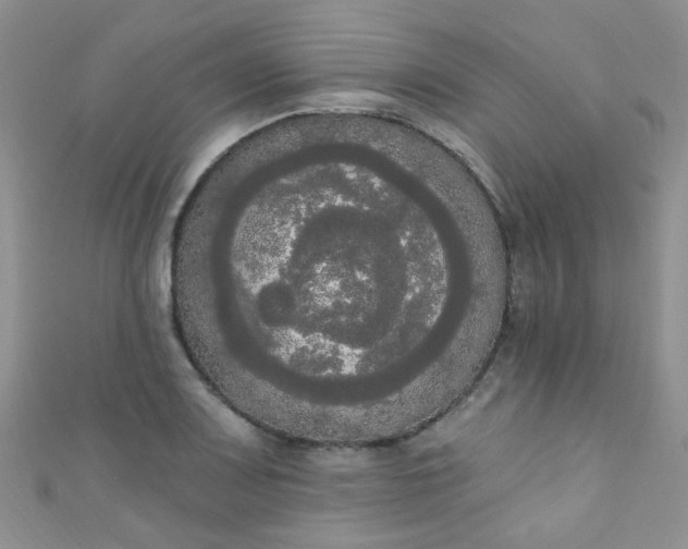 X0000111021083200907022153