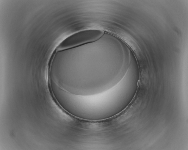 X0000111021084200907022153