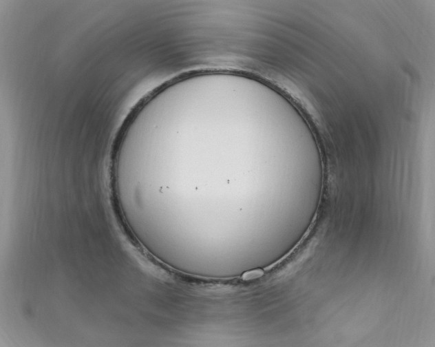 X0000111021085200907022153