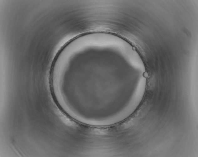 X0000111021086200907022153