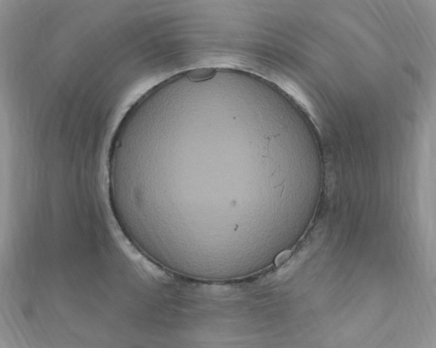 X0000111021088200907022153