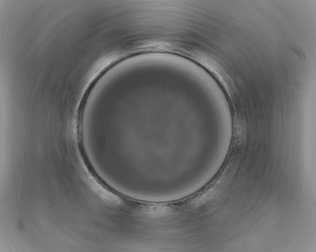 X0000111021090200907022153