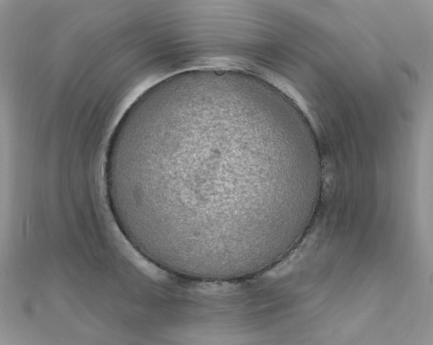 X0000111021091200907022153