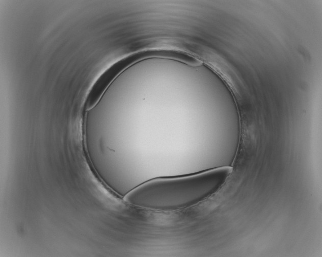 X0000111021092200907022153