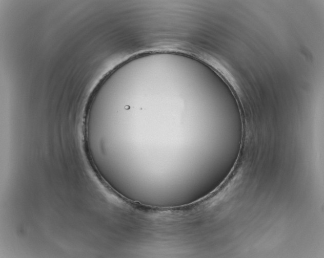 X0000111021093200907022153