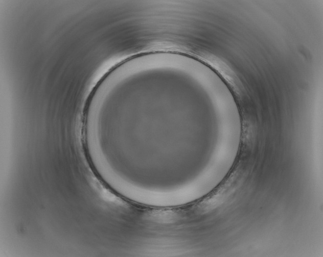 X0000111021094200907022153