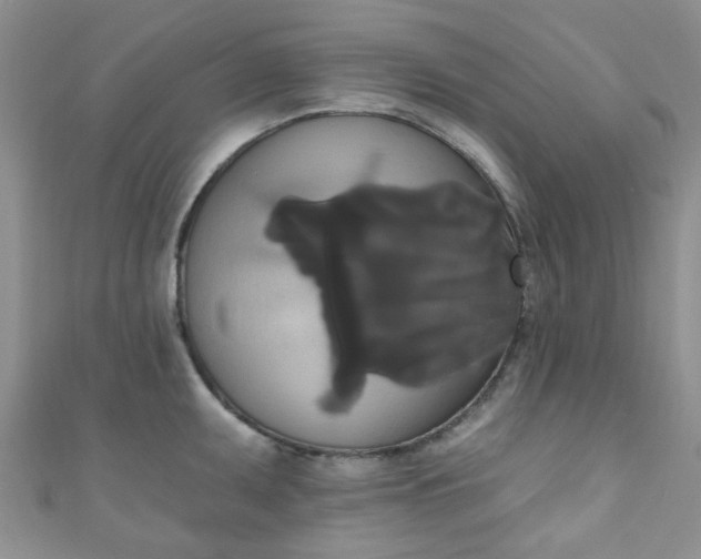 X0000111021095200907022153