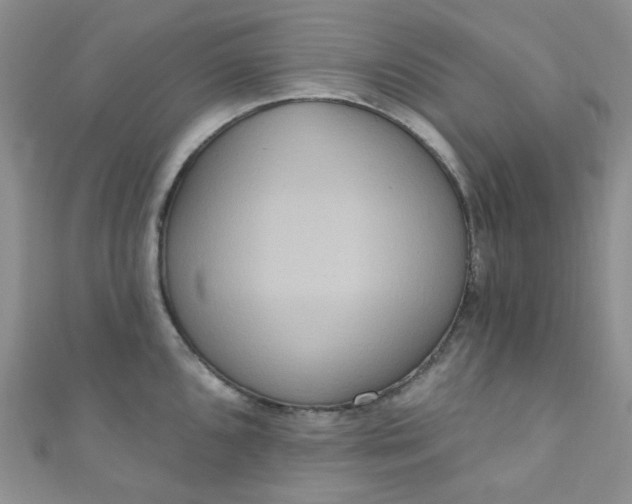 X0000111021096200907022153