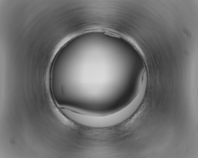 X0000111021098200907022153