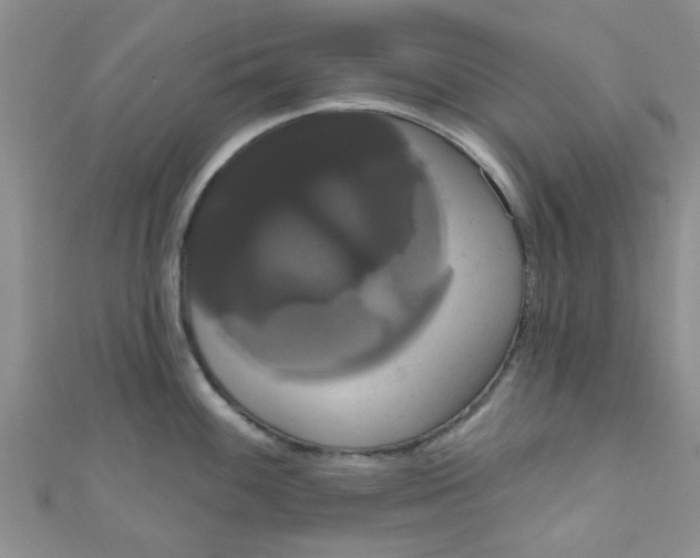 X0000111021100200907022153