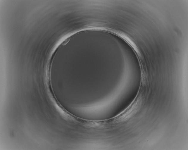 X0000111021101200907022153