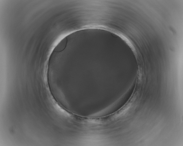 X0000111021102200907022153