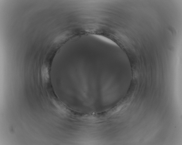 X0000111021106200907022152
