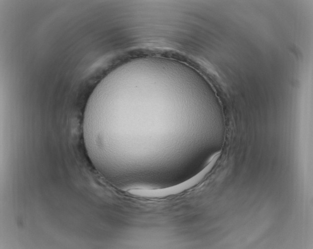 X0000111021110200907022153