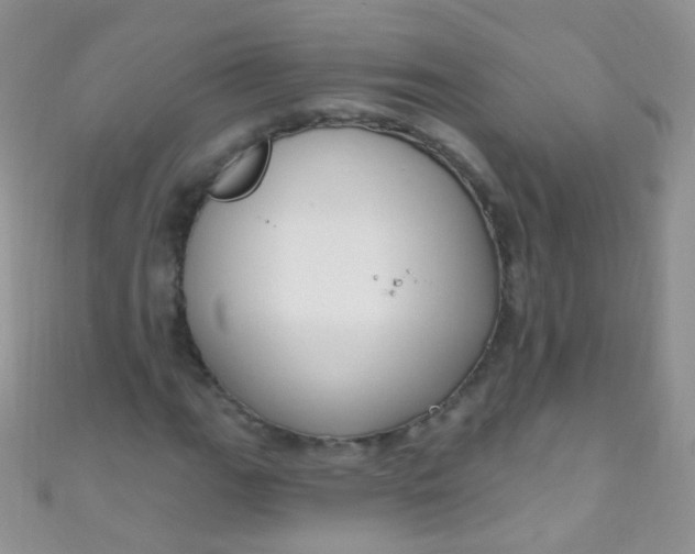X0000111021111200907022153
