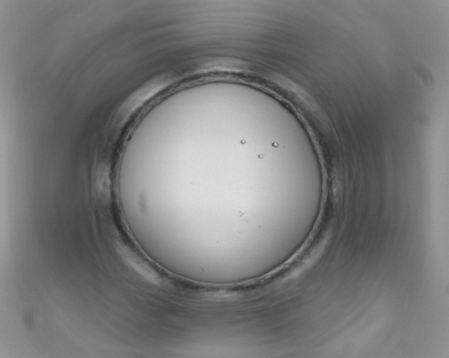 X0000111021113200907022153