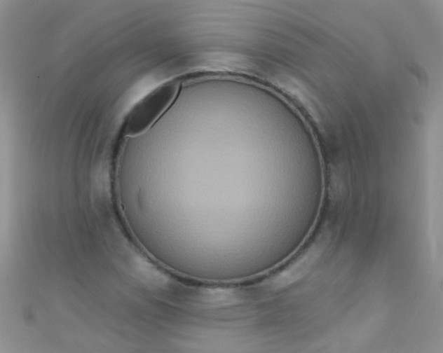 X0000111021114200907022153