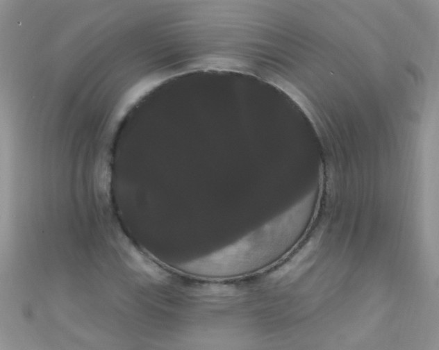 X0000111021115200907022153
