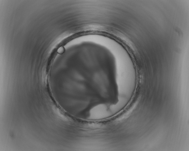 X0000111021117200907022153