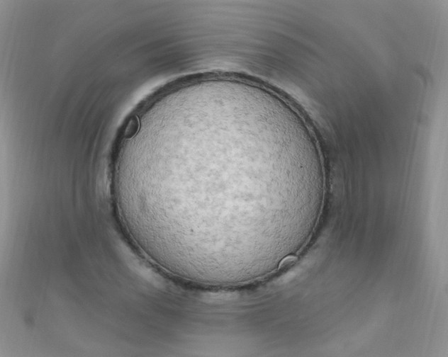 X0000111021118200907022153