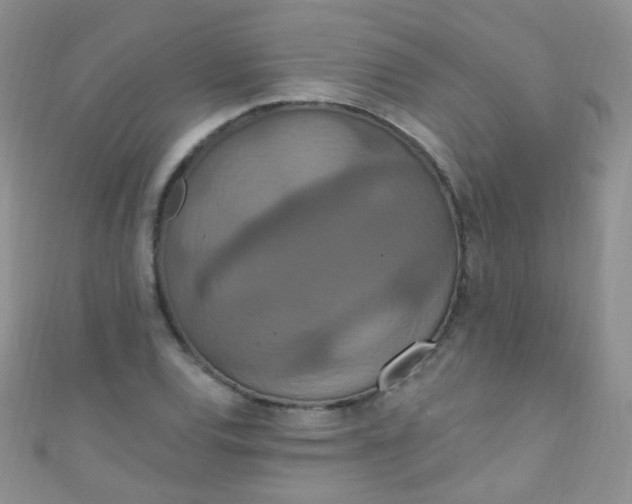 X0000111021120200907022153