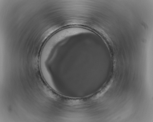 X0000111021121200907022153