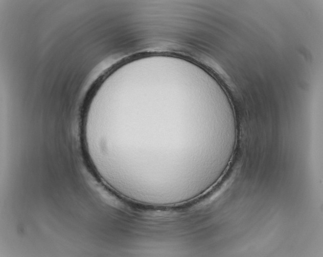 X0000111021122200907022153