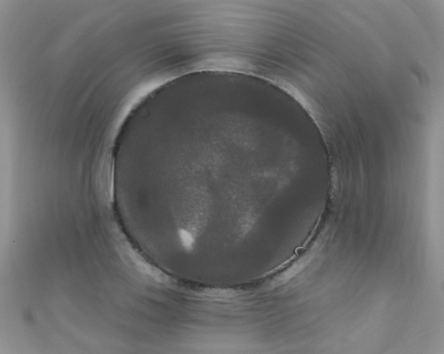 X0000111021123200907022153