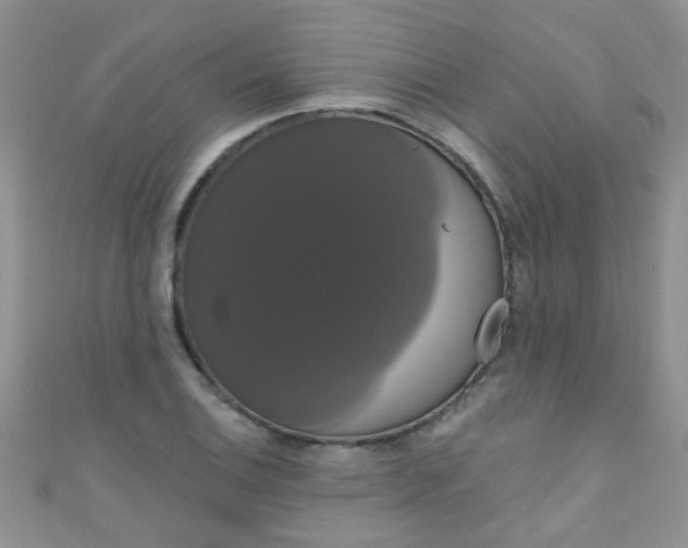X0000111021124200907022153