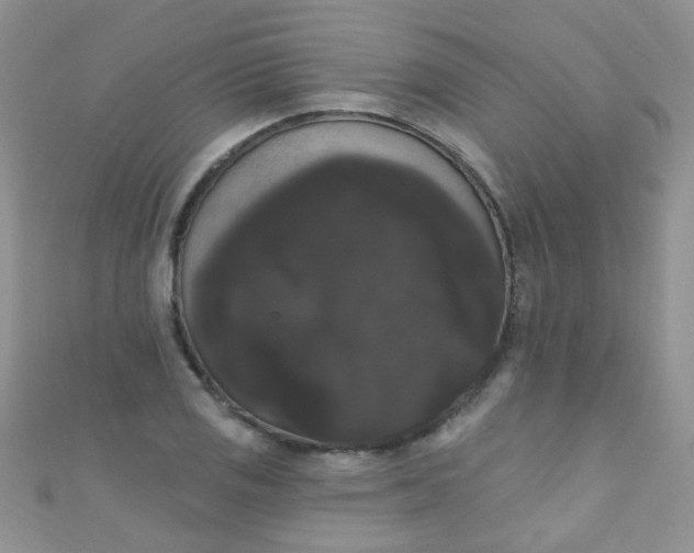 X0000111021125200907022153