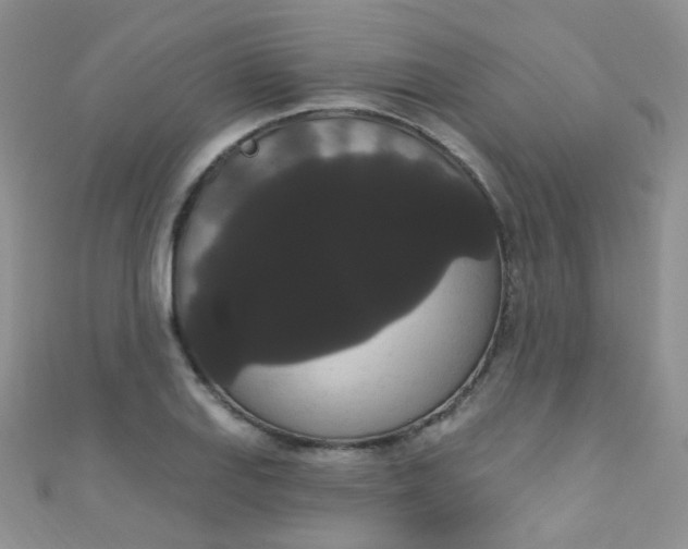X0000111021127200907022153