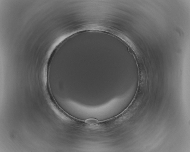 X0000111021128200907022153