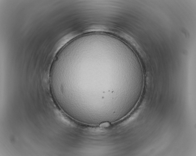 X0000111021129200907022153