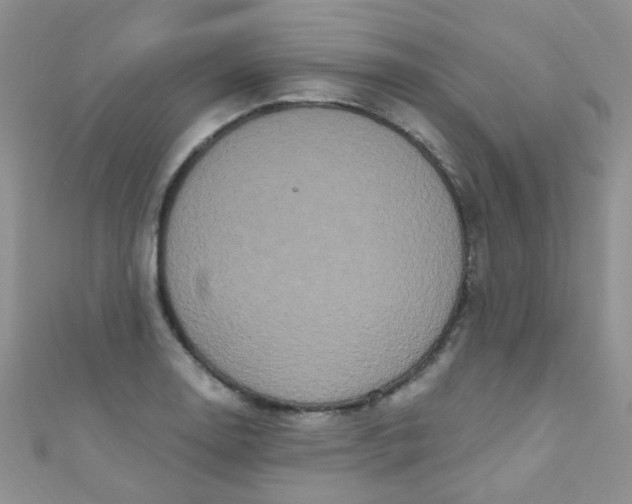 X0000111021130200907022153