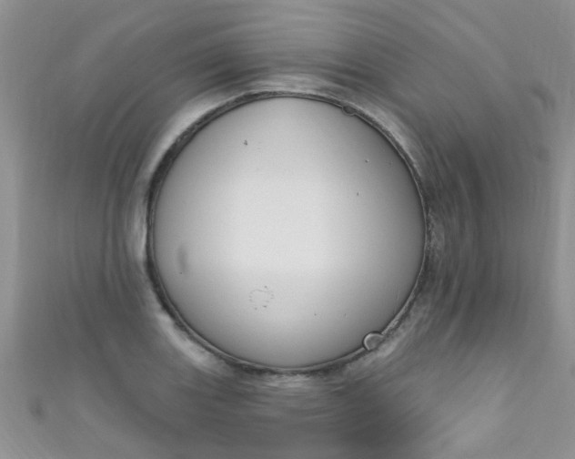 X0000111021131200907022153