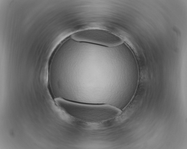 X0000111021132200907022153