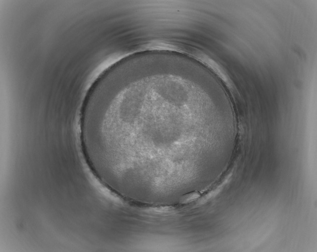 X0000111021133200907022153