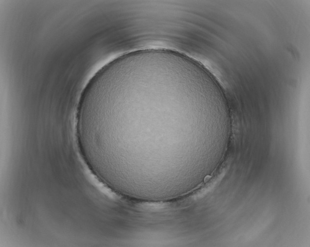 X0000111021134200907022153