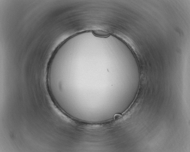 X0000111021135200907022153
