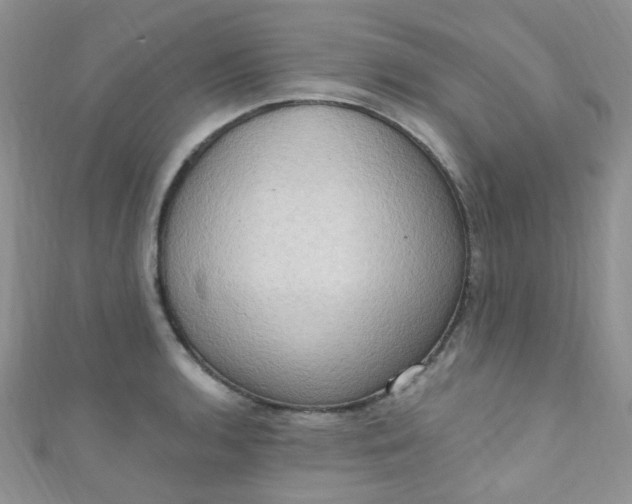 X0000111021136200907022153