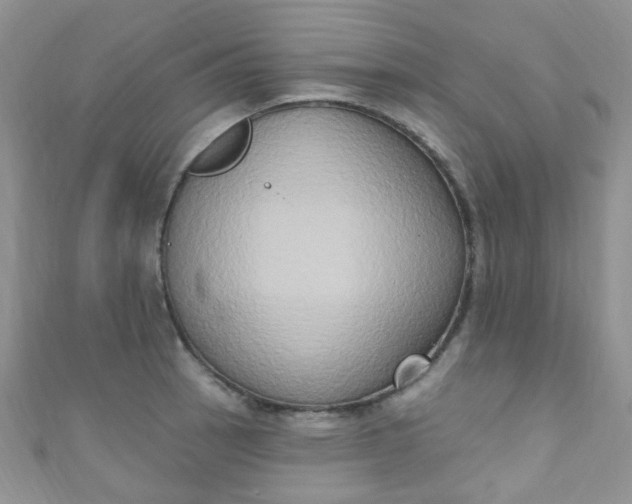 X0000111021137200907022153