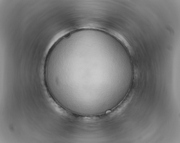 X0000111021138200907022153
