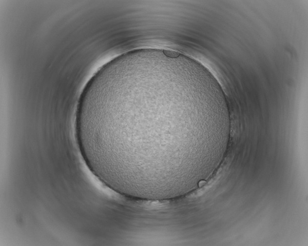 X0000111021139200907022153