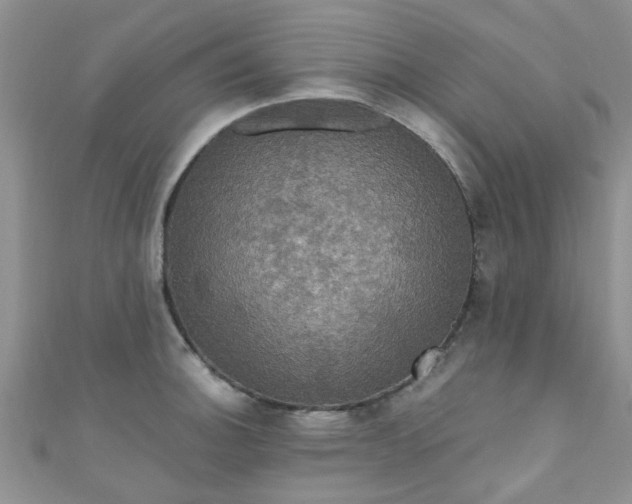 X0000111021140200907022153