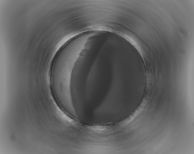 X0000111021141200907022153