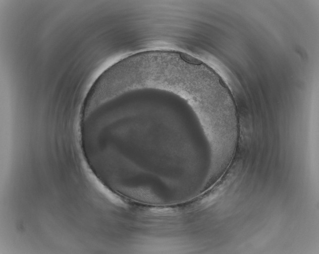 X0000111021142200907022153