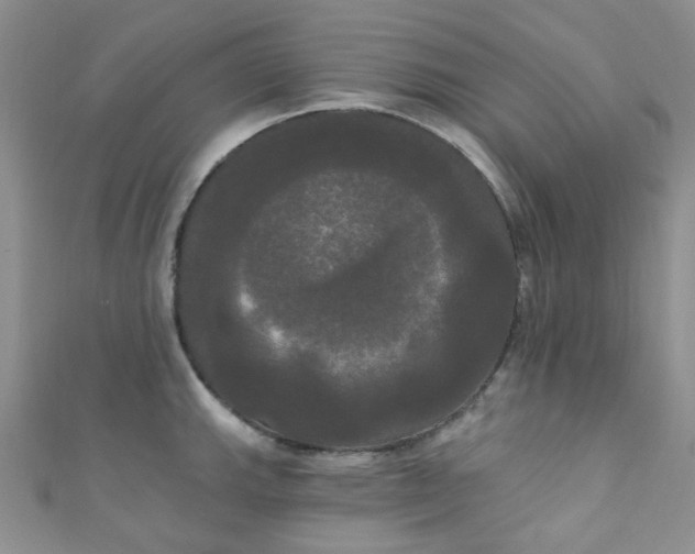 X0000111021143200907022153
