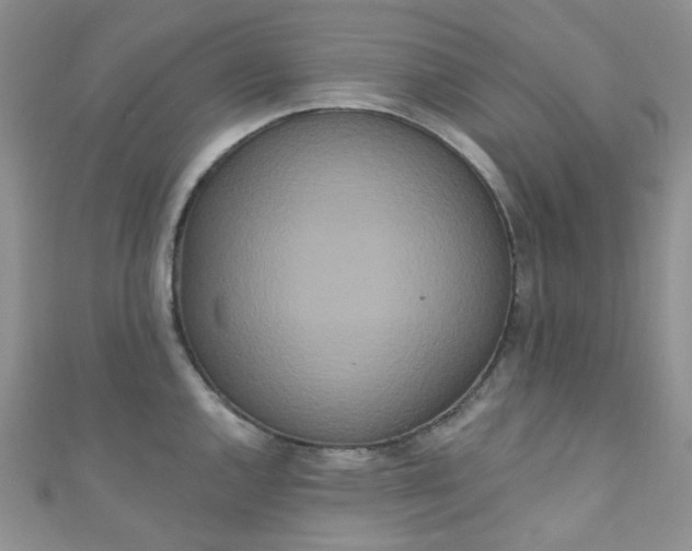 X0000111021144200907022153